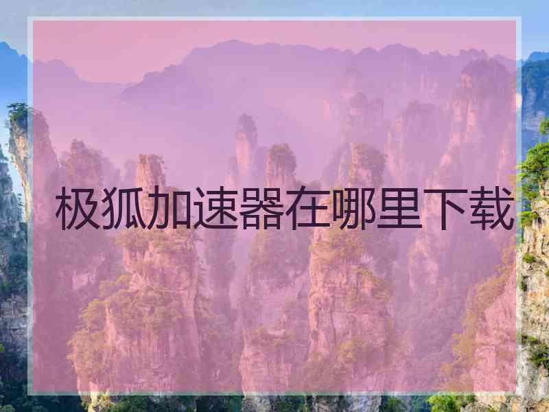 极狐加速器在哪里下载