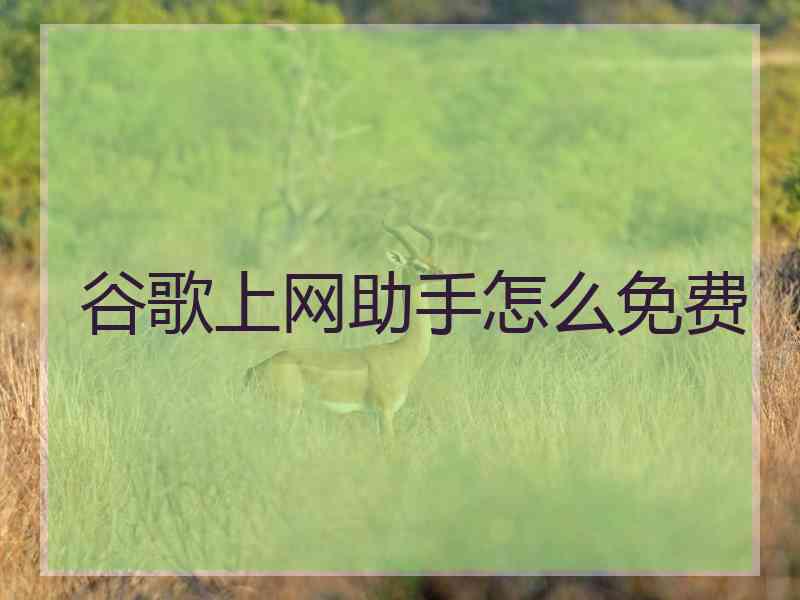 谷歌上网助手怎么免费