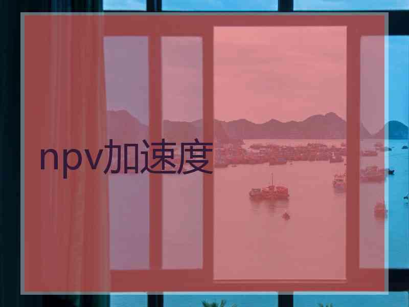 npv加速度