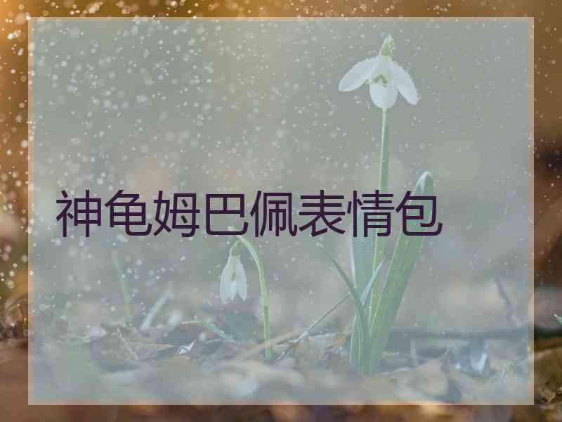 神龟姆巴佩表情包