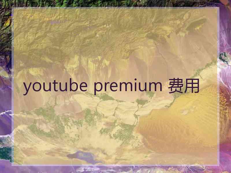 youtube premium 费用