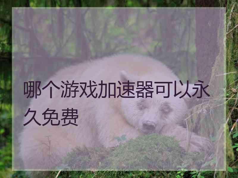 哪个游戏加速器可以永久免费