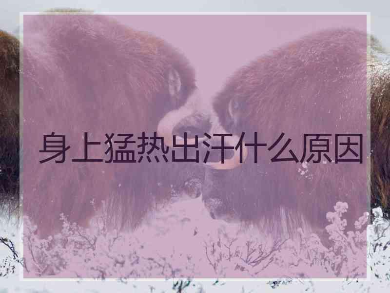 身上猛热出汗什么原因