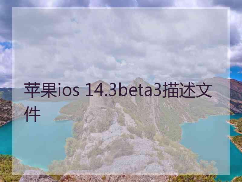 苹果ios 14.3beta3描述文件