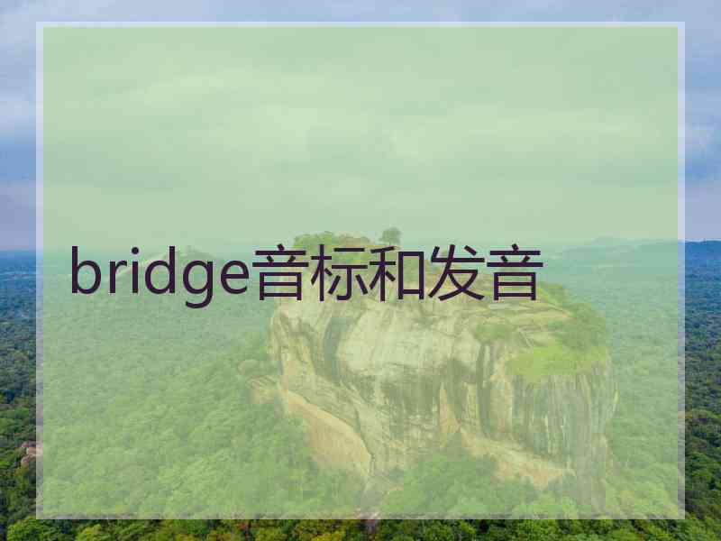 bridge音标和发音