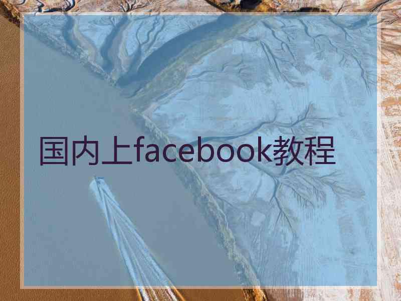 国内上facebook教程