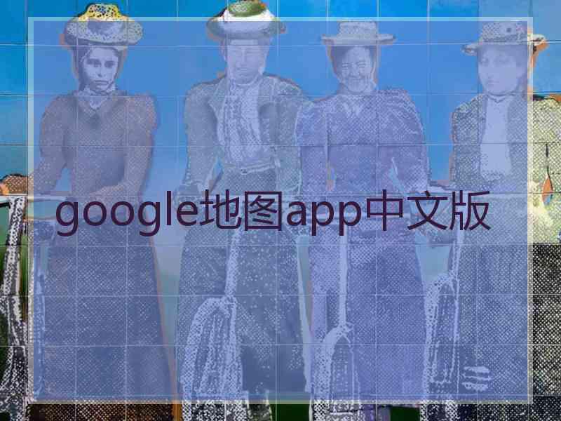 google地图app中文版