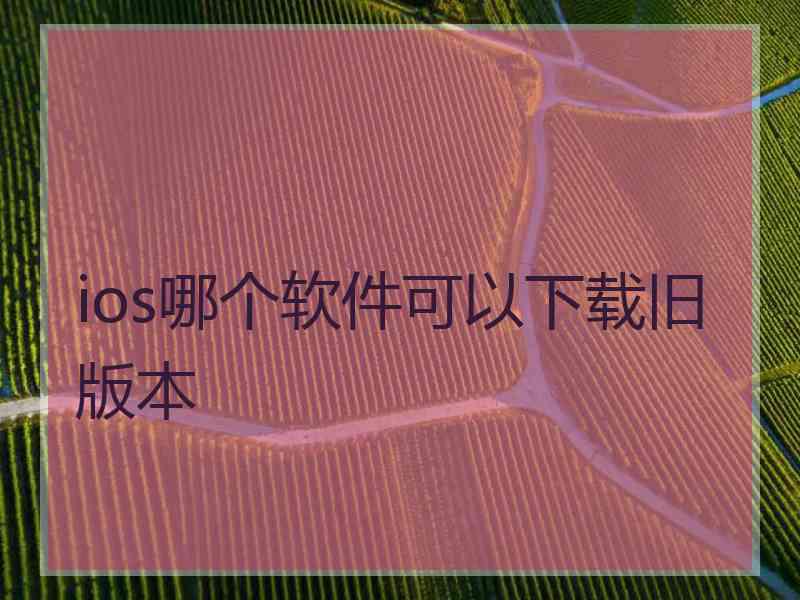 ios哪个软件可以下载旧版本