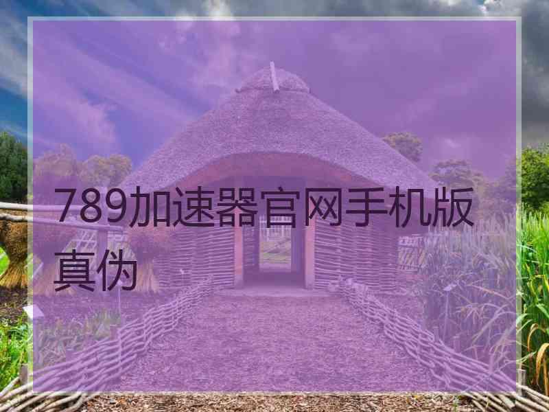 789加速器官网手机版真伪