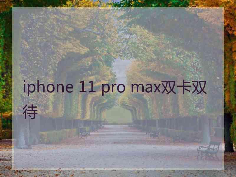 iphone 11 pro max双卡双待