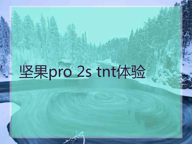 坚果pro 2s tnt体验