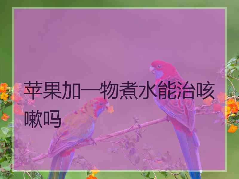 苹果加一物煮水能治咳嗽吗