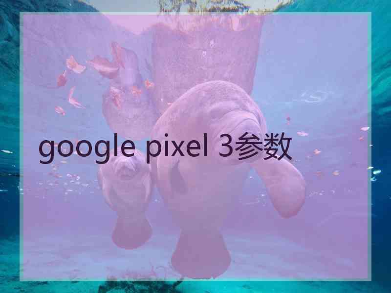 google pixel 3参数