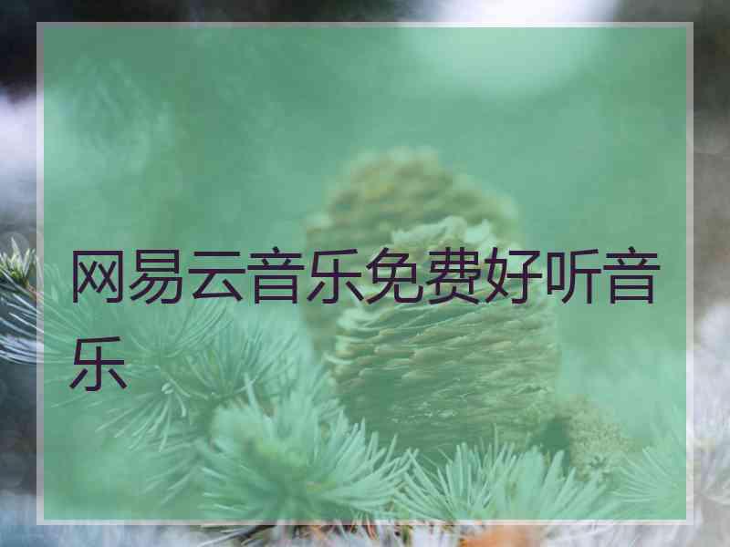 网易云音乐免费好听音乐