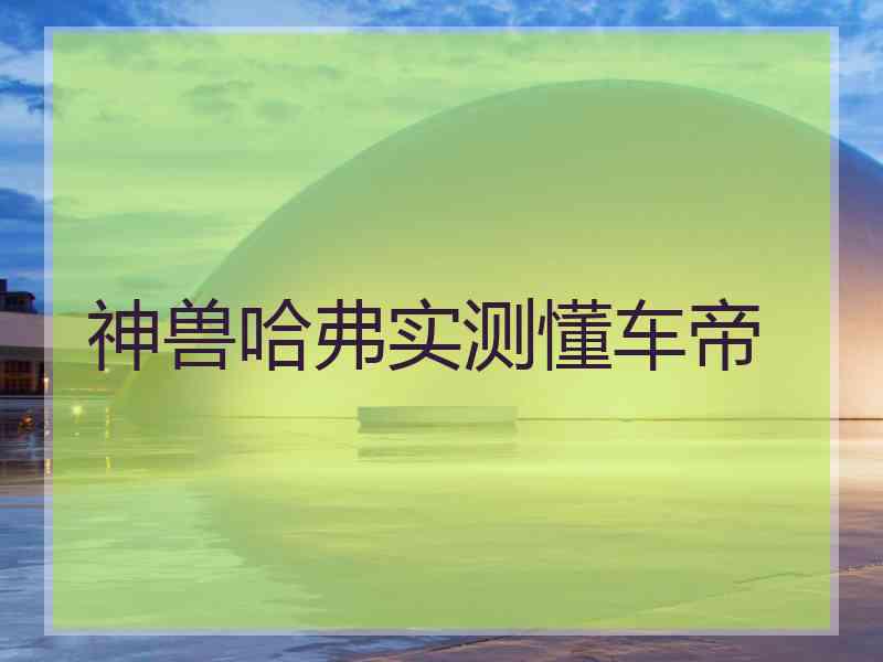 神兽哈弗实测懂车帝