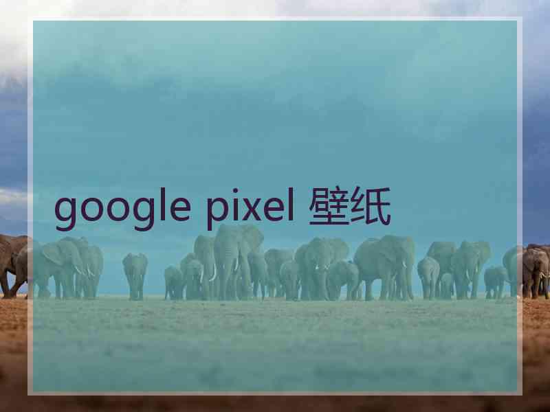 google pixel 壁纸