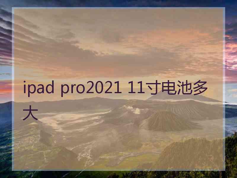 ipad pro2021 11寸电池多大