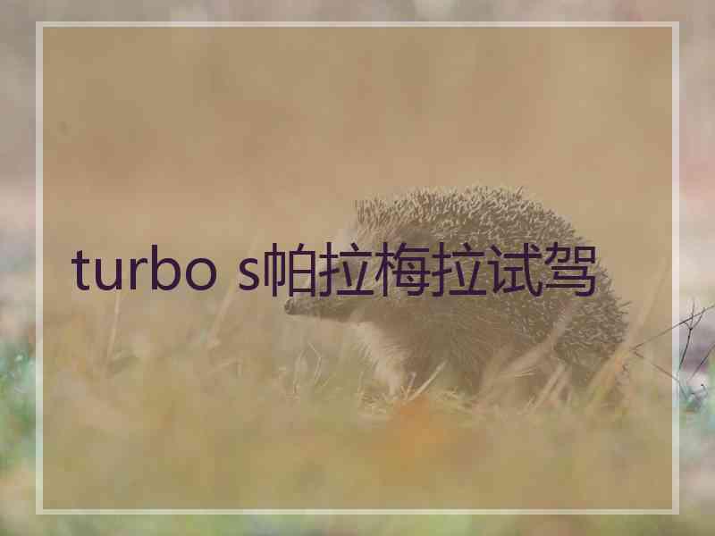 turbo s帕拉梅拉试驾