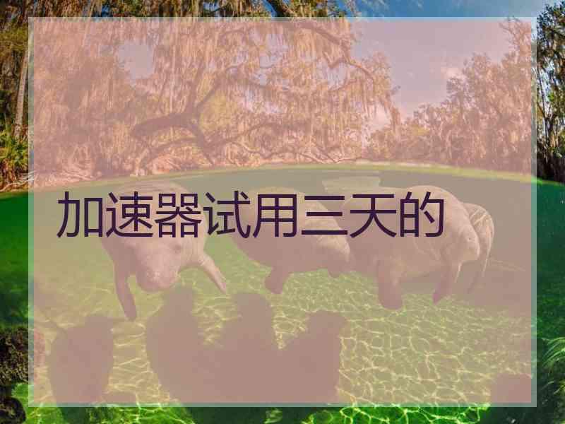 加速器试用三天的