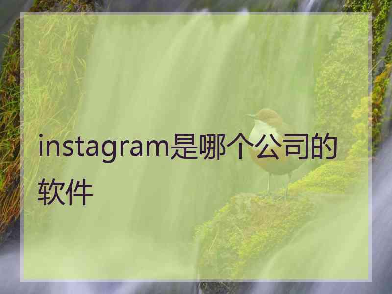 instagram是哪个公司的软件