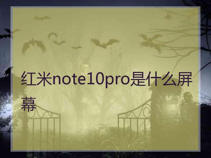 红米note10pro是什么屏幕