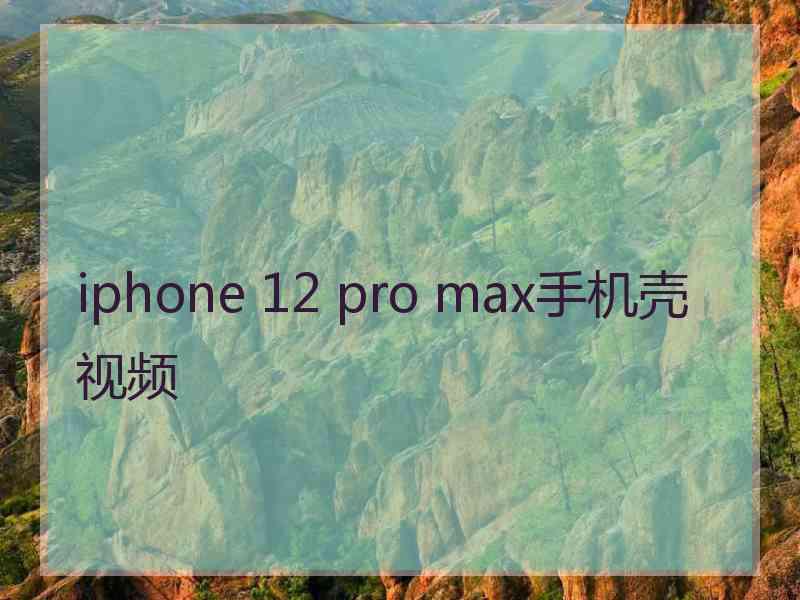 iphone 12 pro max手机壳视频