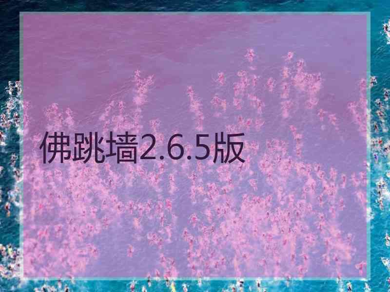 佛跳墙2.6.5版