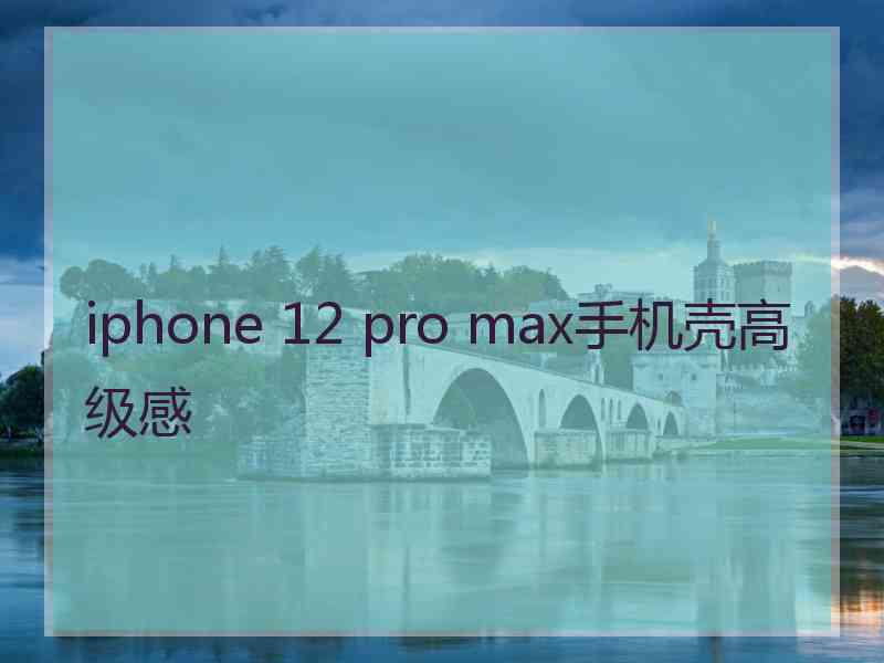 iphone 12 pro max手机壳高级感