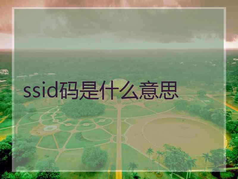 ssid码是什么意思