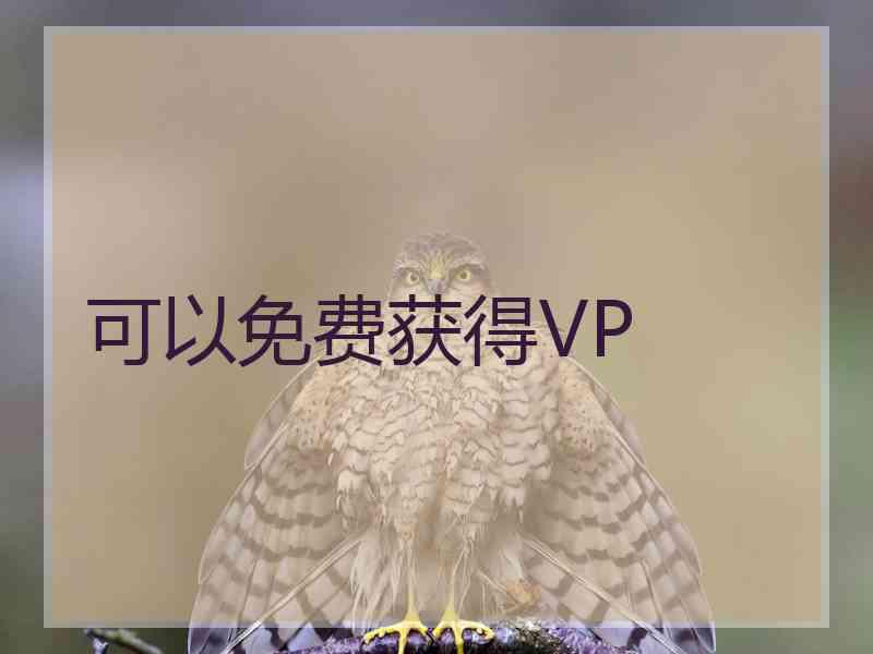 可以免费获得VP