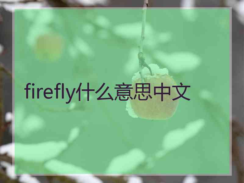 firefly什么意思中文