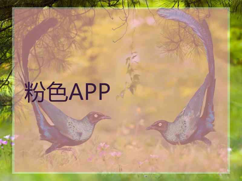 粉色APP