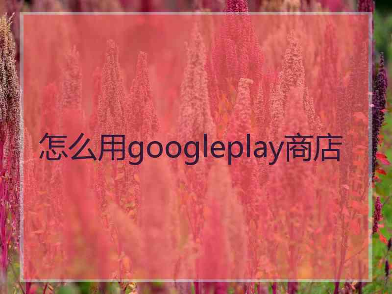 怎么用googleplay商店