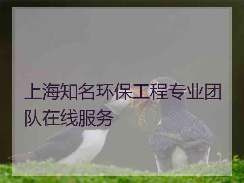 上海知名环保工程专业团队在线服务