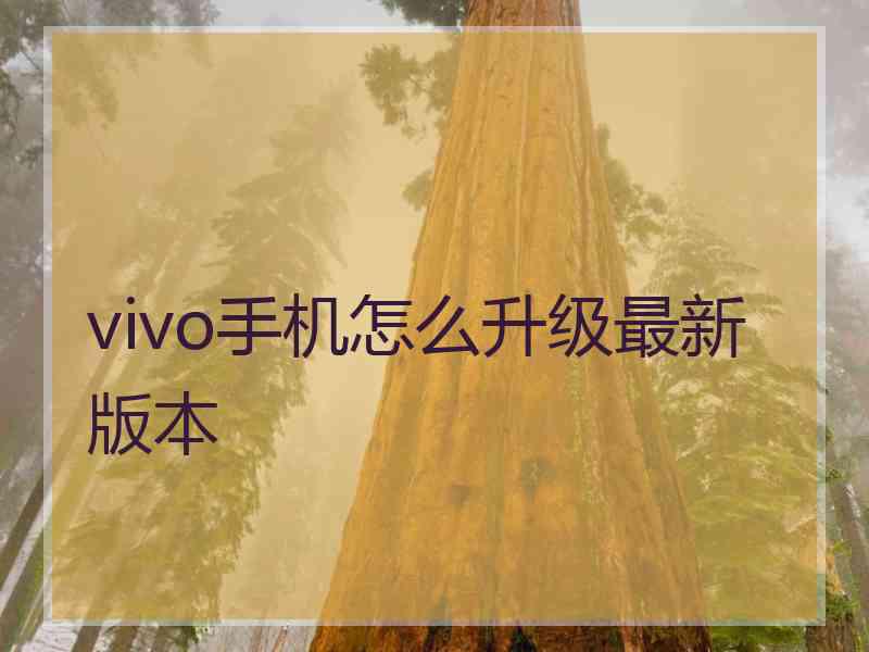 vivo手机怎么升级最新版本