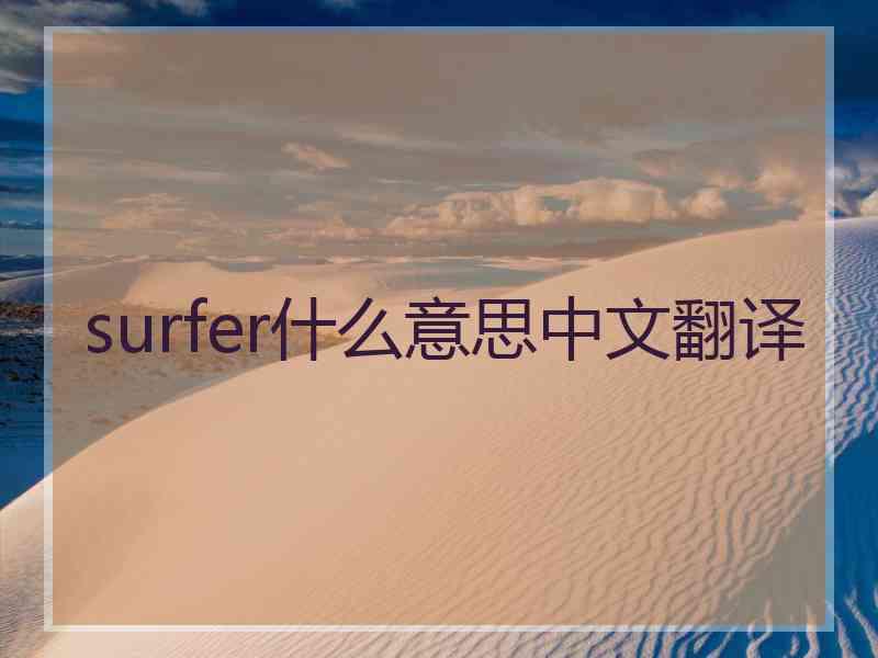 surfer什么意思中文翻译