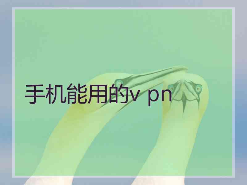 手机能用的v pn