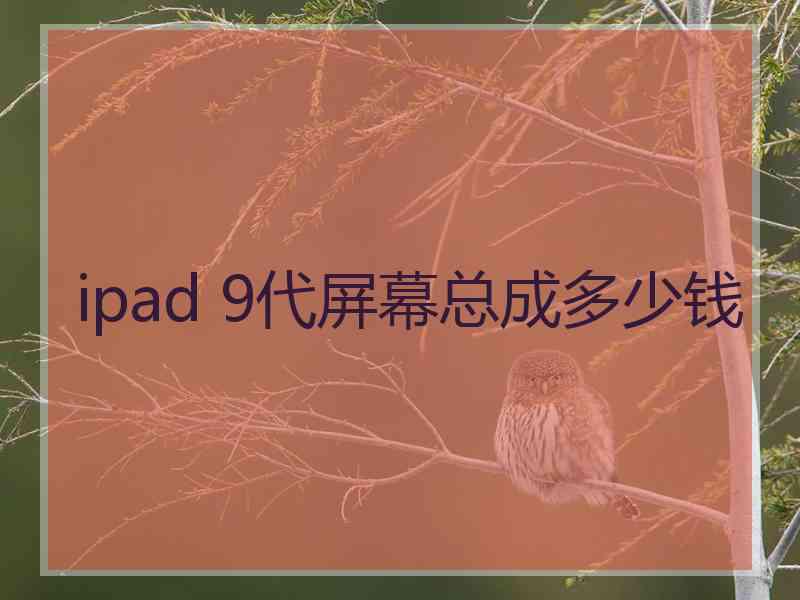 ipad 9代屏幕总成多少钱