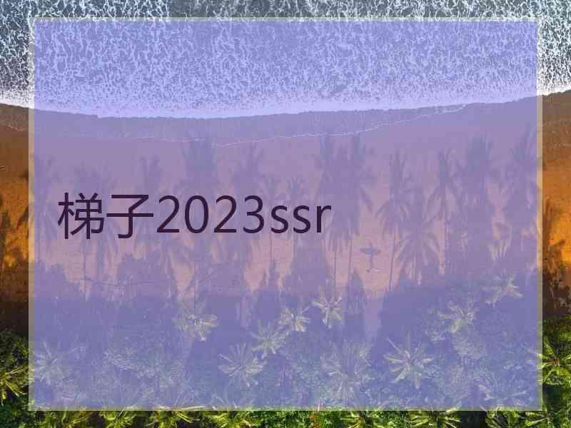 梯子2023ssr