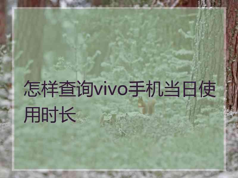 怎样查询vivo手机当日使用时长