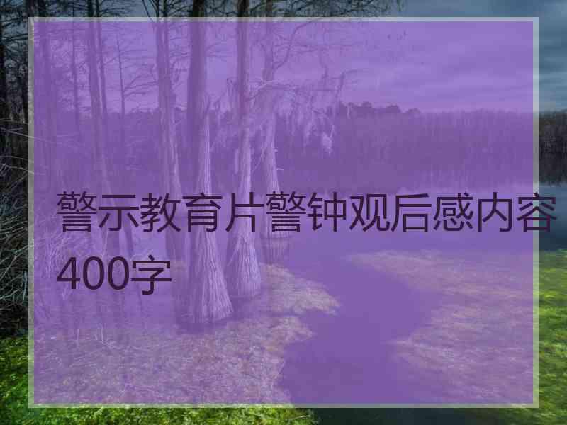 警示教育片警钟观后感内容400字