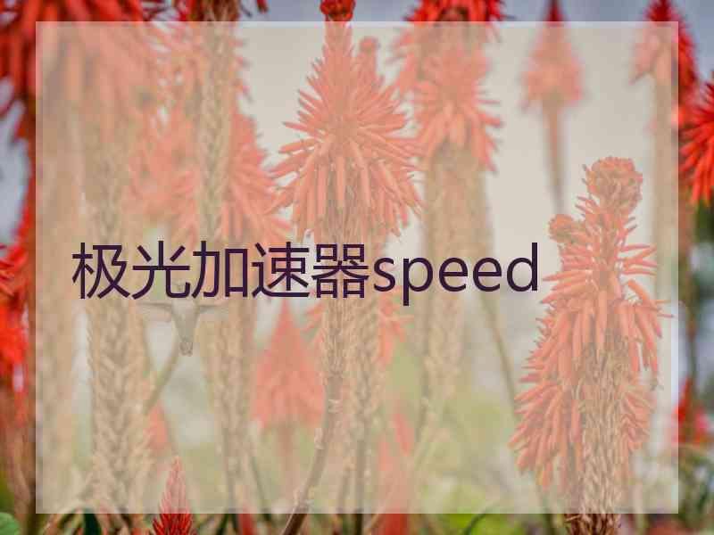 极光加速器speed