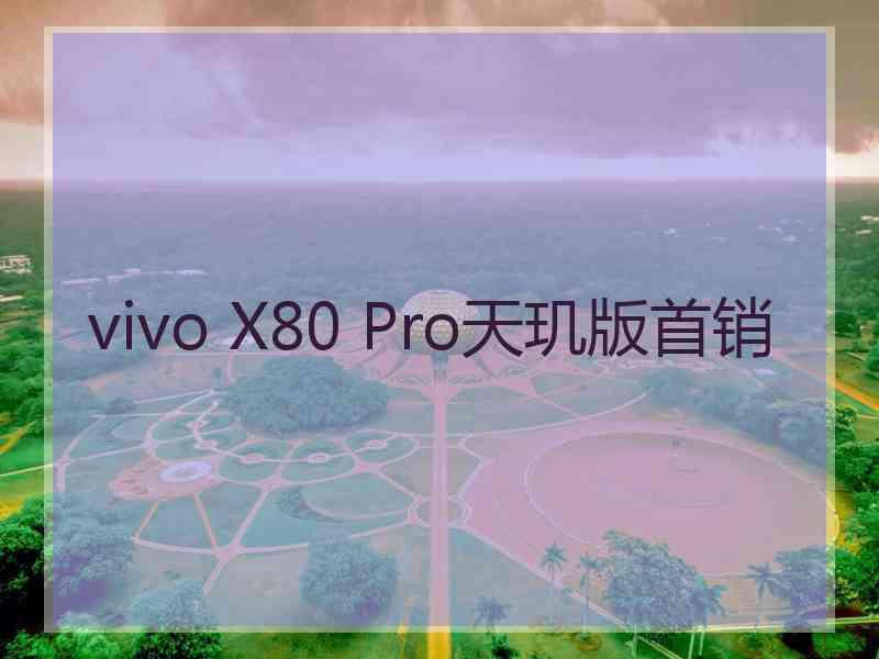 vivo X80 Pro天玑版首销