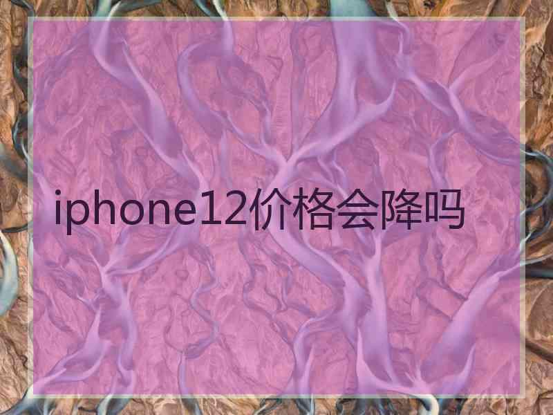 iphone12价格会降吗