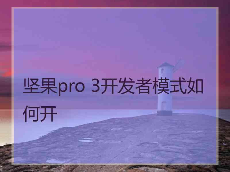 坚果pro 3开发者模式如何开