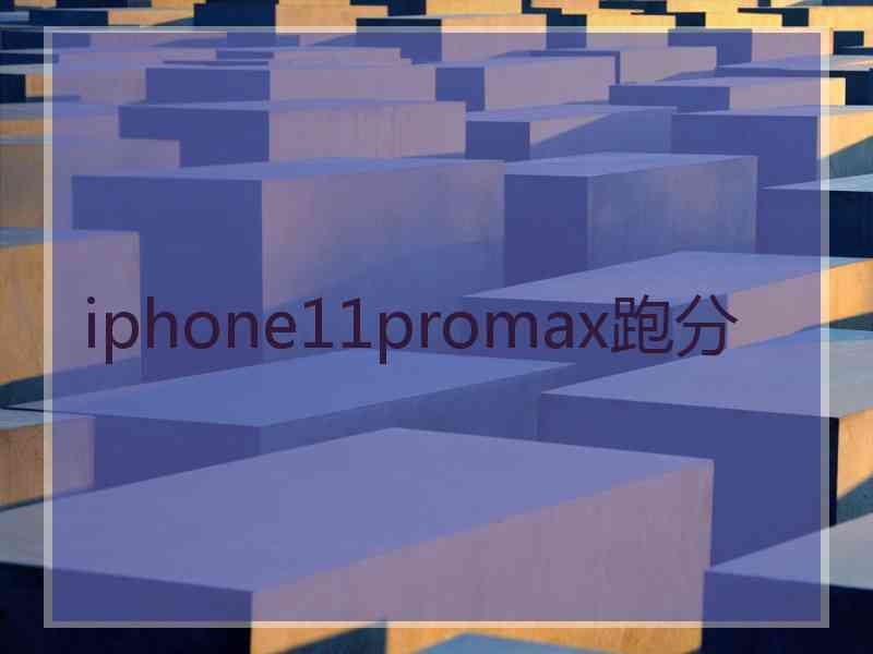 iphone11promax跑分