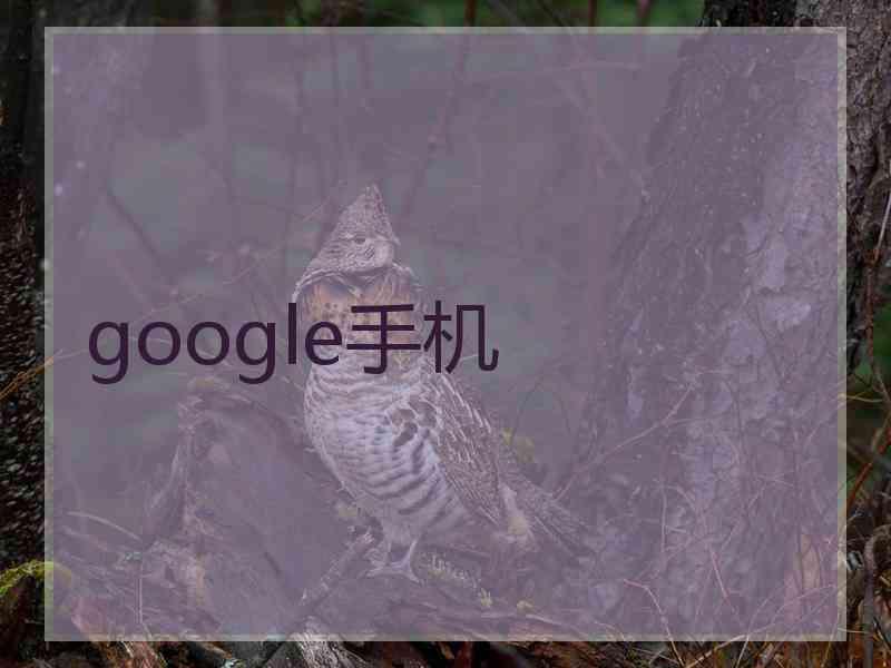 google手机