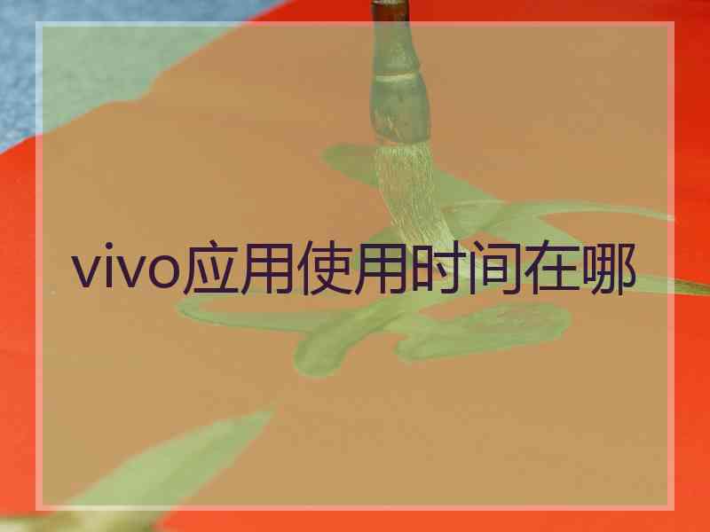 vivo应用使用时间在哪