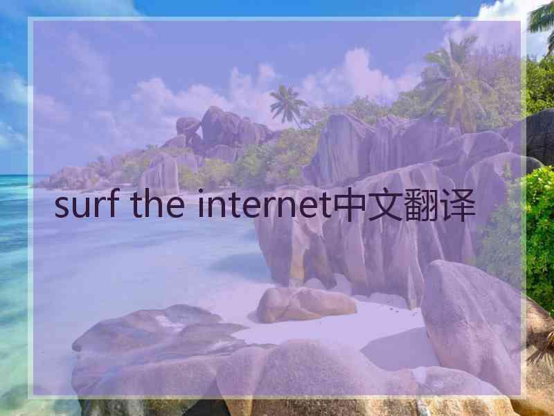 surf the internet中文翻译