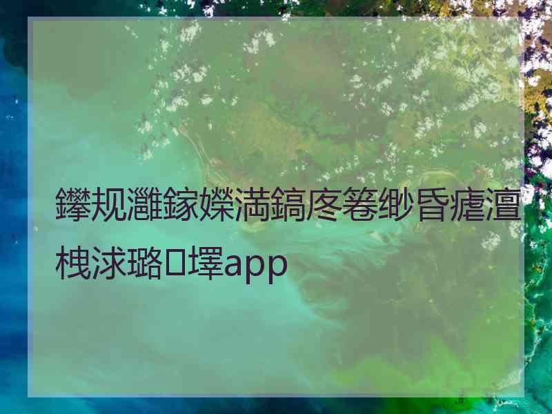 鑻规灉鎵嬫満鎬庝箞缈昏瘧澶栧浗璐墿app